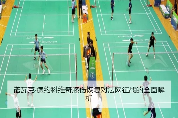 诺瓦克·德约科维奇膝伤恢复对法网征战的全面解析